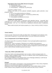 Kompiuteriniai virusai ir jų esmė 2 puslapis