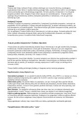 Kompiuteriniai virusai ir jų esmė 3 puslapis