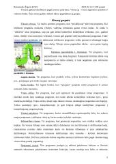 Kompiuterių virusai ir jų keliami pavojai 5 puslapis