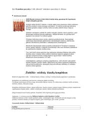 Konferencijos organizavimas "Mėsos importo poveikis Lietuvos rinkai" 8 puslapis