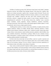 Konfliktų mokykloje priežastys, sprendimo būdai ir prevencija 2 puslapis