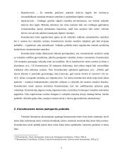 Konstitucinė teisė kaip atskira teisės šaka 5 puslapis