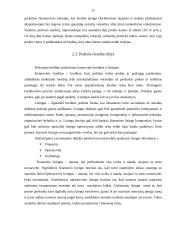 Kredito suteikimo procedūra fiziniams asmenims 10 puslapis