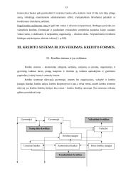 Kredito suteikimo procedūra fiziniams asmenims 12 puslapis