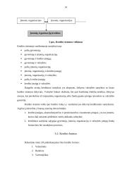 Kredito suteikimo procedūra fiziniams asmenims 13 puslapis