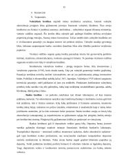 Kredito suteikimo procedūra fiziniams asmenims 14 puslapis