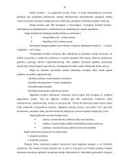 Kredito suteikimo procedūra fiziniams asmenims 15 puslapis