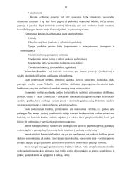 Kredito suteikimo procedūra fiziniams asmenims 17 puslapis