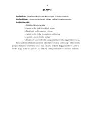 Kredito suteikimo procedūra fiziniams asmenims 2 puslapis