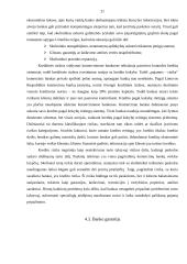 Kredito suteikimo procedūra fiziniams asmenims 20 puslapis