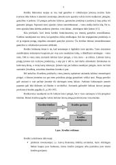 Kredito suteikimo procedūra fiziniams asmenims 4 puslapis