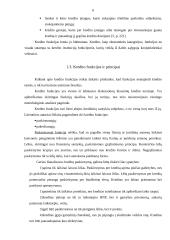 Kredito suteikimo procedūra fiziniams asmenims 5 puslapis