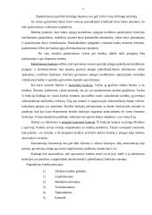 Kredito suteikimo procedūra fiziniams asmenims 6 puslapis