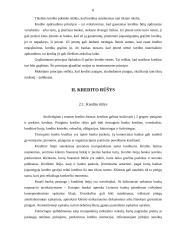 Kredito suteikimo procedūra fiziniams asmenims 7 puslapis