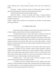 Kredito suteikimo procedūra fiziniams asmenims 8 puslapis