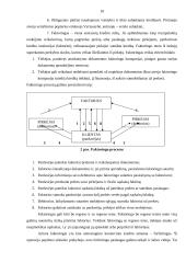 Kredito suteikimo procedūra fiziniams asmenims 9 puslapis