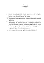 Krepšinis 1921-1939 metais 10 puslapis