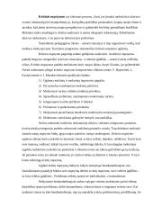 Kritinio mąstymas ugdymas 3 puslapis