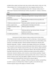 Kritinio mąstymas ugdymas 4 puslapis