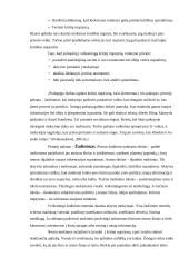 Kritinio mąstymas ugdymas 6 puslapis