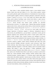 Kūno kultūros mokytojo ugdomosios veiklos ypatumai dirbant su jaunesnio amžiaus vaikais 6 puslapis