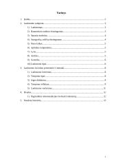 Lankstumas ir jo lavinimo ypatumai 2 puslapis