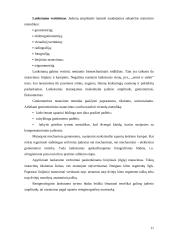 Lankstumas ir jo lavinimo ypatumai 12 puslapis