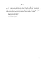 Lankstumas ir jo lavinimo ypatumai 3 puslapis