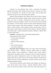 Lankstumas ir jo lavinimo ypatumai 4 puslapis