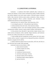 Lankstumo ir vikrumo lavinimas kūno kultūros paskaitose 13 puslapis