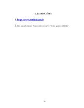 Lankstumo ir vikrumo lavinimas kūno kultūros paskaitose 20 puslapis