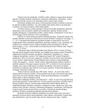 Lauko teniso raida Lietuvoje ir pasaulyje 3 puslapis