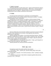 Lietuviško kovinio meno sistema: "Ėchas" 10 puslapis