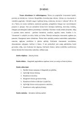 Lietuvių šeima 2 puslapis