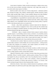 Lietuvių šeima 11 puslapis