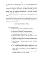 Lietuvių šeima 12 puslapis