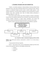 Lietuvių šeima 14 puslapis