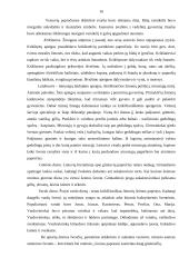 Lietuvių šeima 15 puslapis