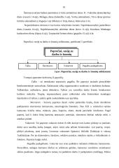 Lietuvių šeima 18 puslapis