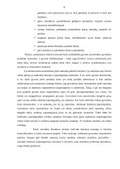 Lietuvių šeima 7 puslapis