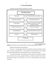 Lietuvių šeima 10 puslapis
