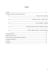 Lietuvos delegacijos į Ispaniją vizitų vadyba 2 puslapis