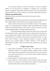 Lietuvos delegacijos į Ispaniją vizitų vadyba 12 puslapis