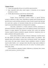 Lietuvos delegacijos į Ispaniją vizitų vadyba 14 puslapis