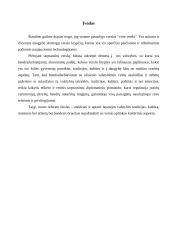 Lietuvos delegacijos į Ispaniją vizitų vadyba 3 puslapis