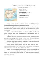 Lietuvos delegacijos į Ispaniją vizitų vadyba 4 puslapis