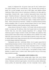 Lietuvos delegacijos į Ispaniją vizitų vadyba 5 puslapis