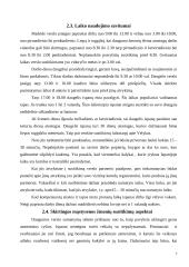 Lietuvos delegacijos į Ispaniją vizitų vadyba 7 puslapis