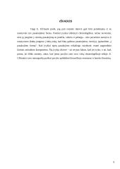 Lietuvos renesanso ir baroko literatūra 8 puslapis