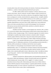 Lietuvos teisės raida 6 puslapis